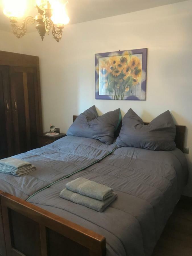 Casa Paolina - Cipat 57814 Lägenhet Revò Exteriör bild